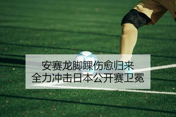 安赛龙脚踝伤愈归来 全力冲击日本公开赛卫冕
